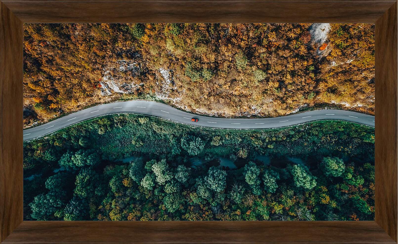 Картина в раме - Дорога разделяющая лес