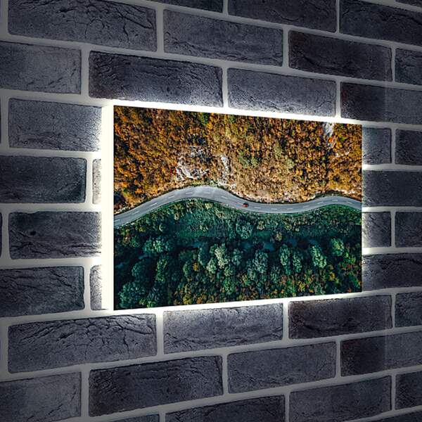 Лайтбокс световая панель - Дорога разделяющая лес