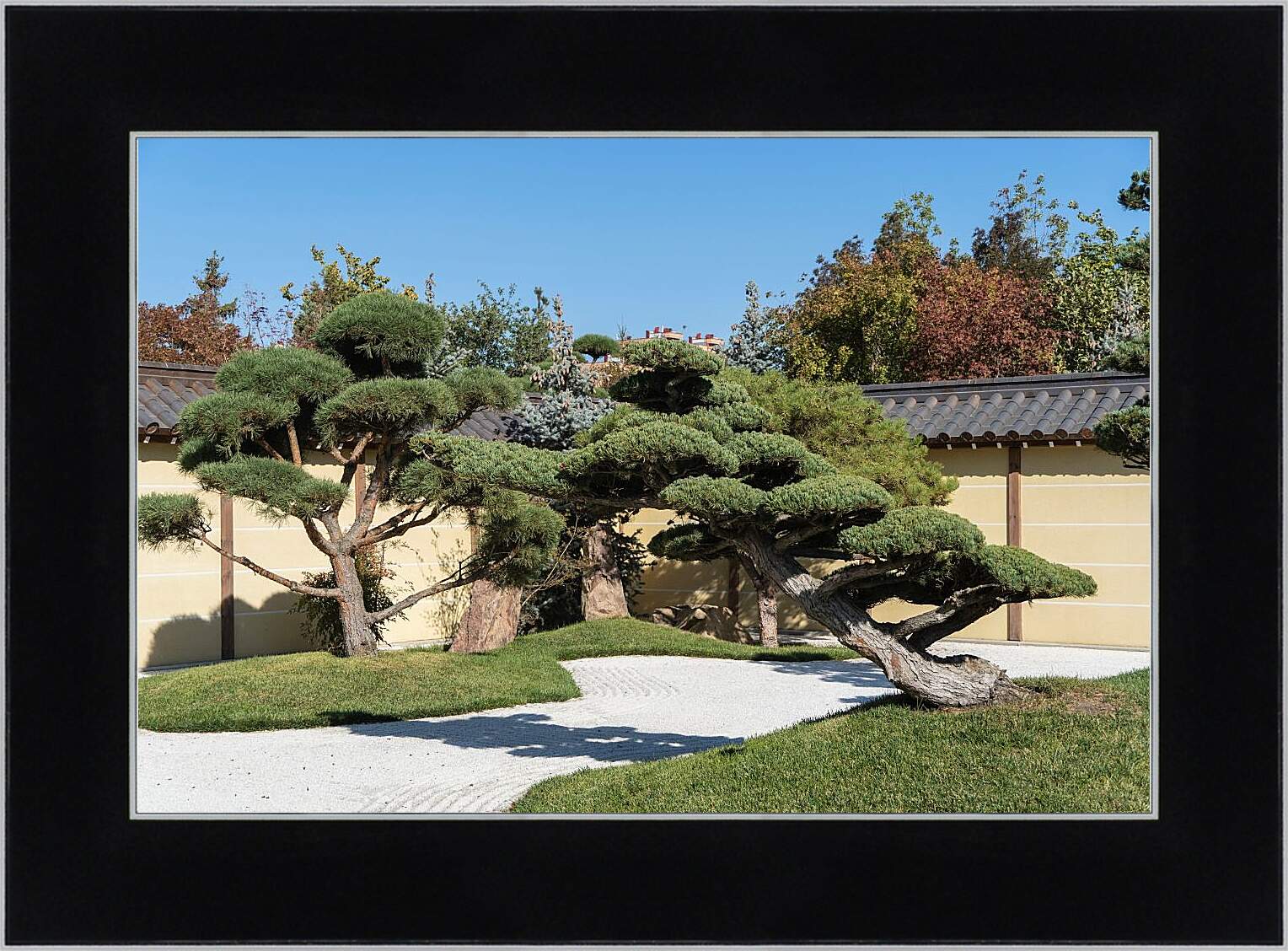 Картина в раме - Японский сад в Краснодаре