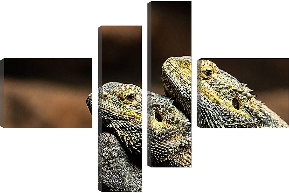 Модульная картина - Рептилии