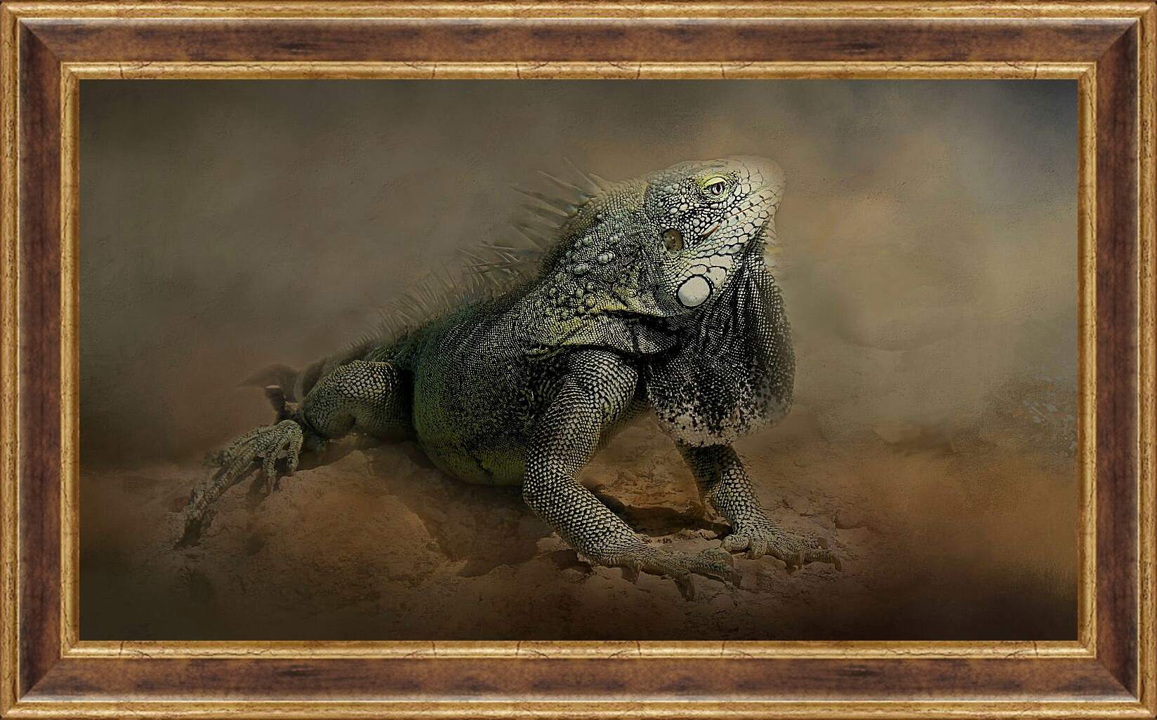Картина в раме - Рептилии