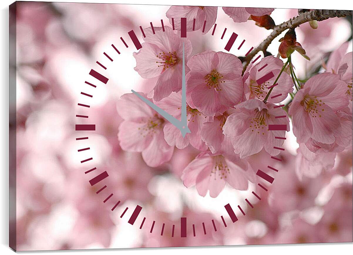 Часы картина - Весенняя сакура