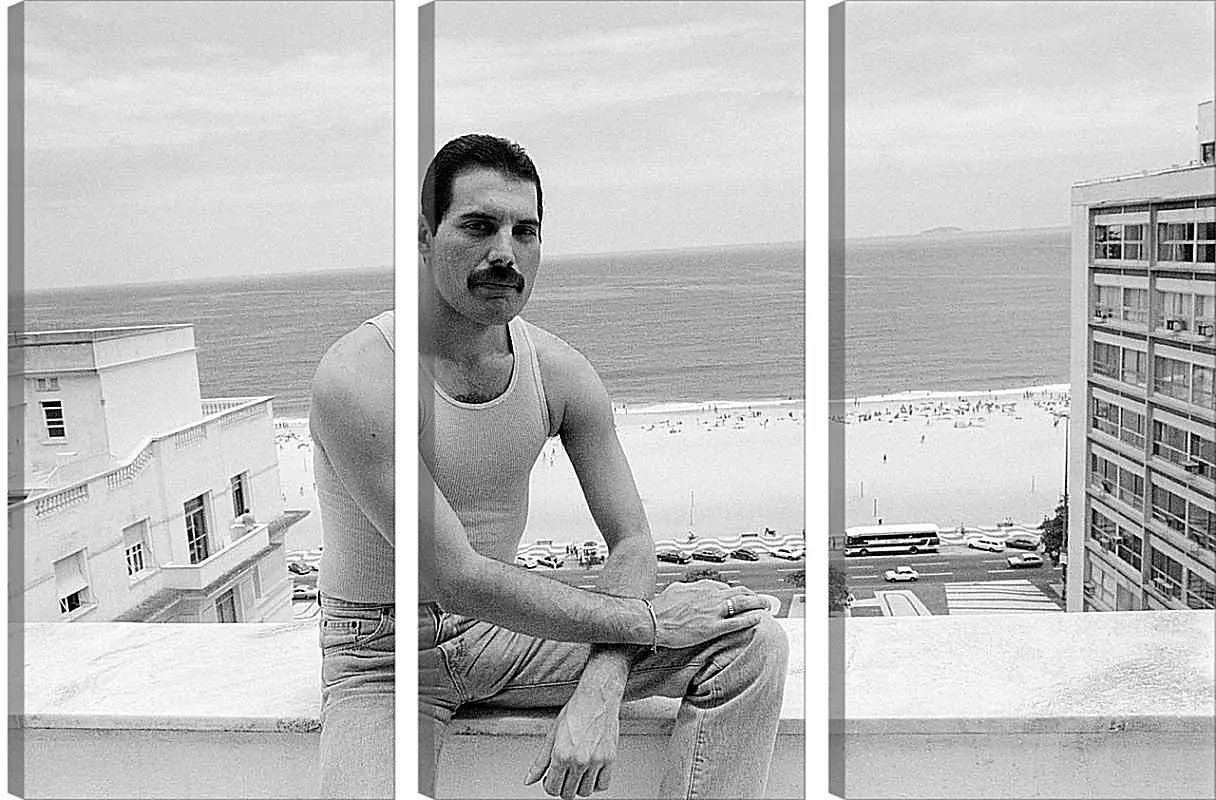 Модульная картина - Freddie Mercury Rio de Janeiro 1985