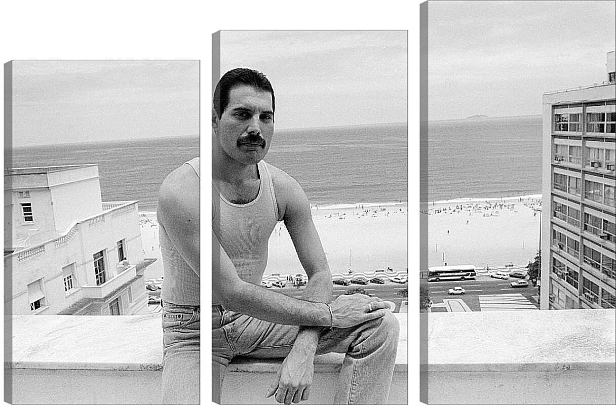 Модульная картина - Freddie Mercury Rio de Janeiro 1985