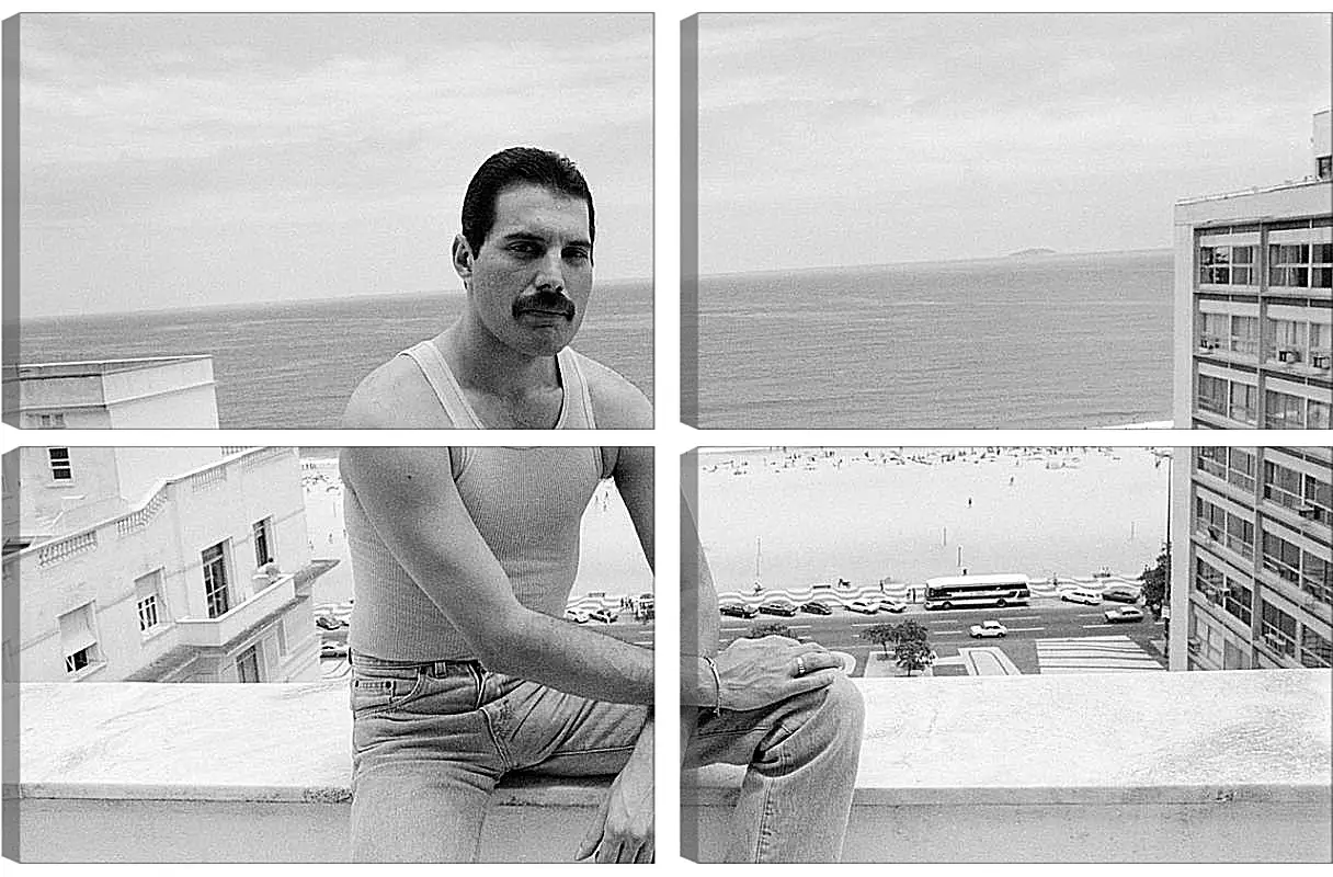 Модульная картина - Freddie Mercury Rio de Janeiro 1985