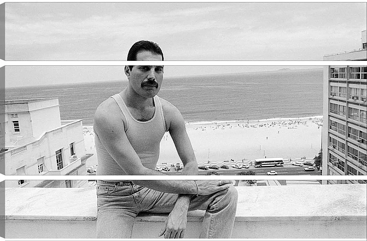 Модульная картина - Freddie Mercury Rio de Janeiro 1985