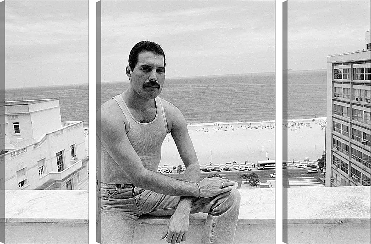 Модульная картина - Freddie Mercury Rio de Janeiro 1985