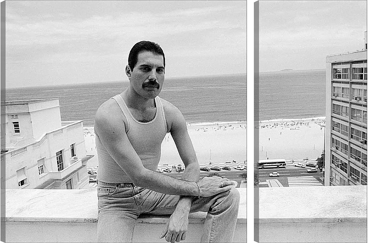 Модульная картина - Freddie Mercury Rio de Janeiro 1985