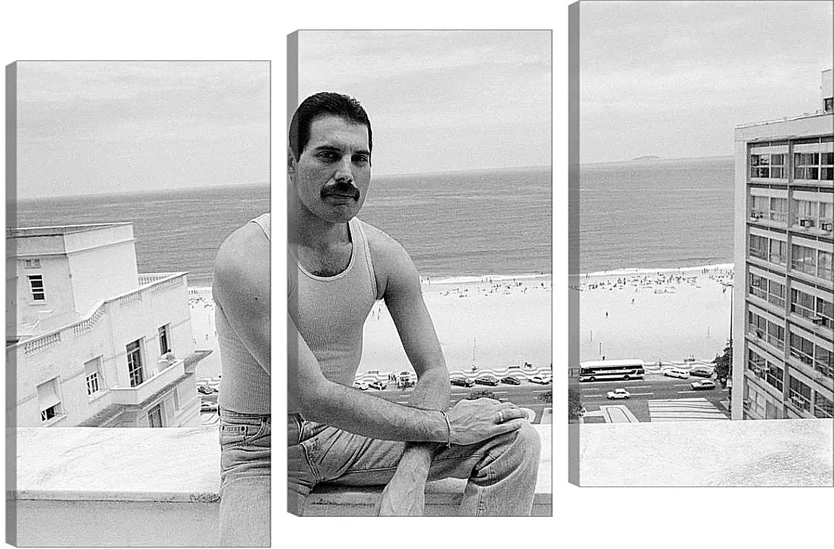 Модульная картина - Freddie Mercury Rio de Janeiro 1985