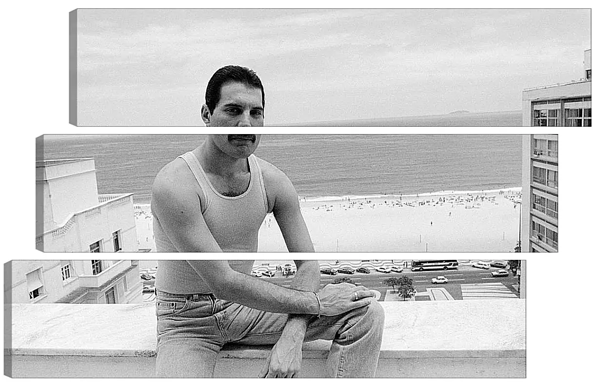 Модульная картина - Freddie Mercury Rio de Janeiro 1985