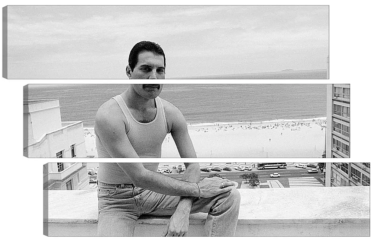 Модульная картина - Freddie Mercury Rio de Janeiro 1985