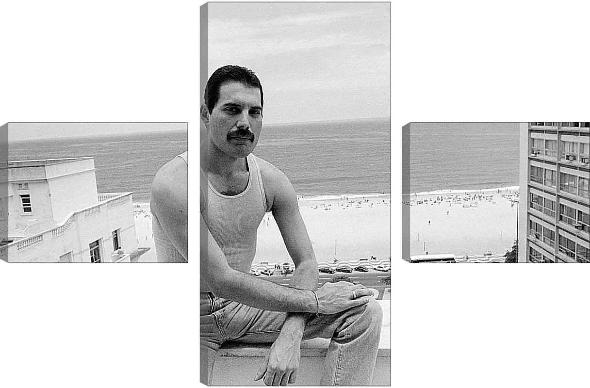 Модульная картина - Freddie Mercury Rio de Janeiro 1985