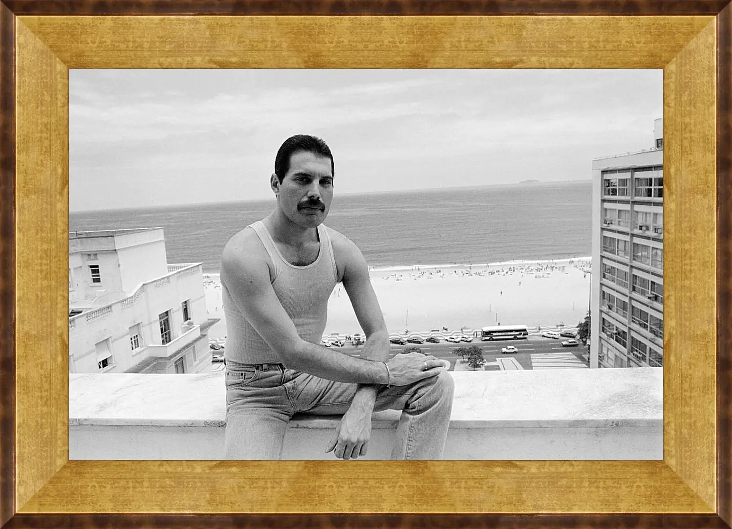 Картина в раме - Freddie Mercury Rio de Janeiro 1985