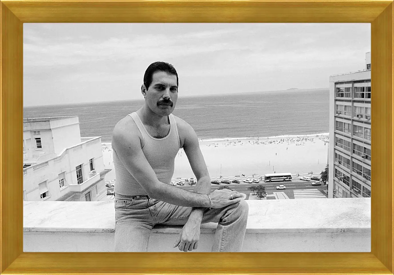 Картина в раме - Freddie Mercury Rio de Janeiro 1985