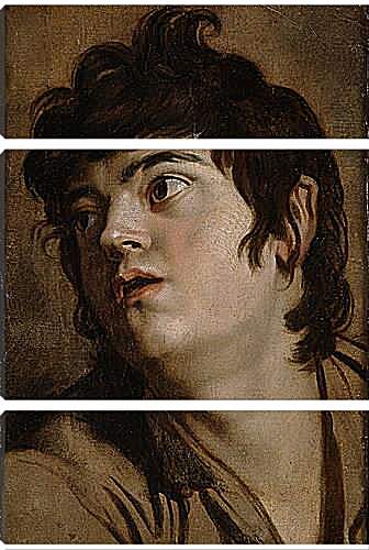 Модульная картина - Head of a Young Man. Питер Пауль Рубенс
