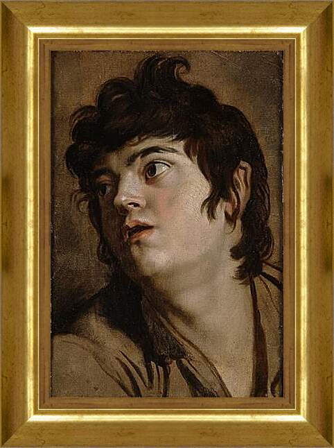 Картина в раме - Head of a Young Man. Питер Пауль Рубенс