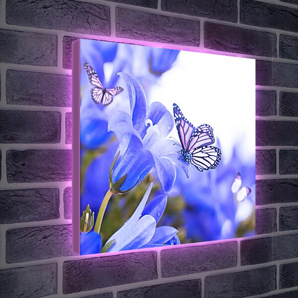 Лайтбокс световая панель - Бабочки и колокольчики