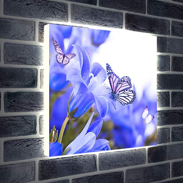 Лайтбокс световая панель - Бабочки и колокольчики