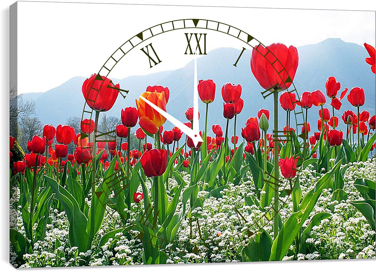 Часы картина - Поле тюльпанов