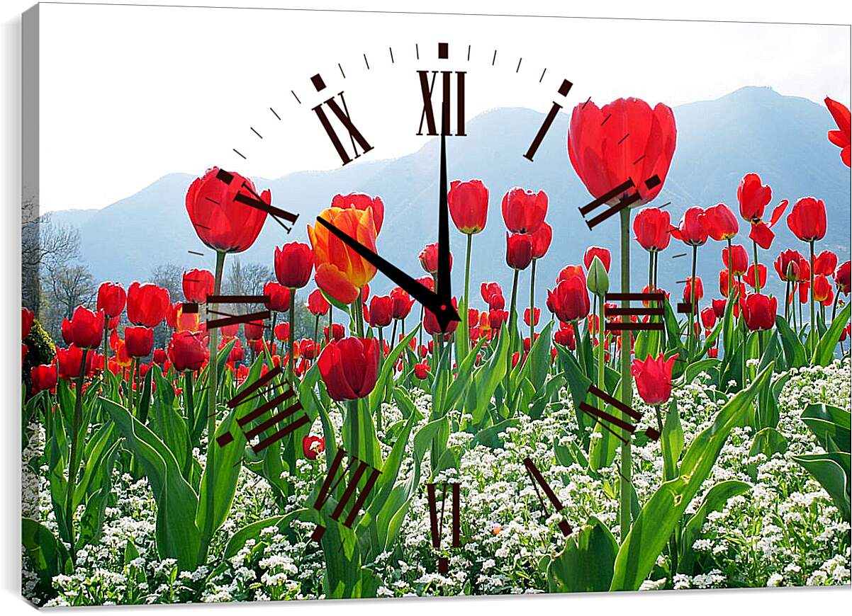 Часы картина - Поле тюльпанов