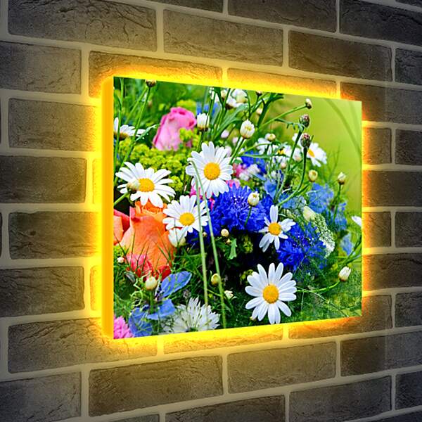 Лайтбокс световая панель - Букет полевых цветов