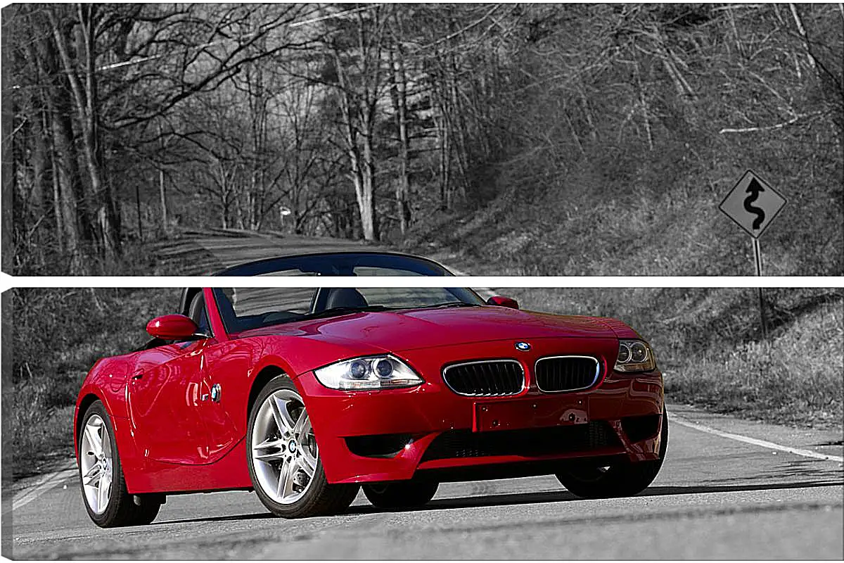 Модульная картина - Z4 BMW