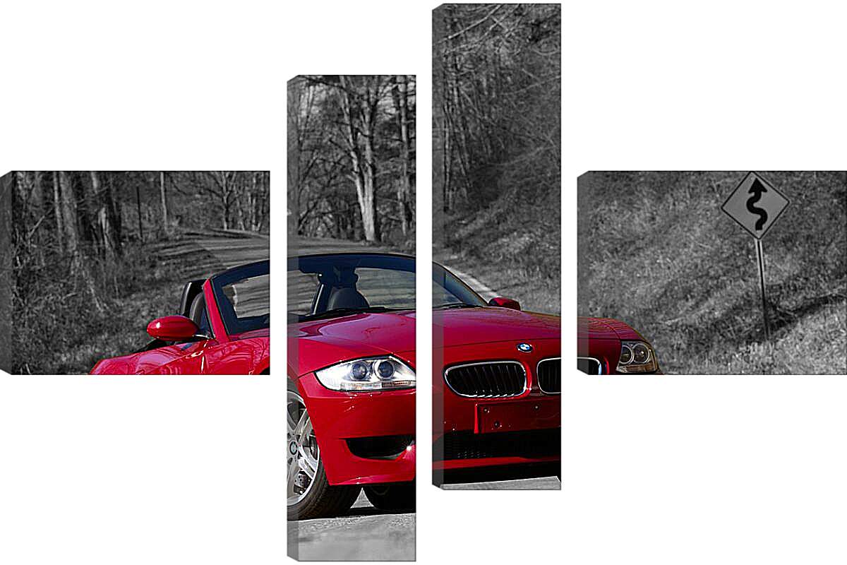 Модульная картина - Z4 BMW