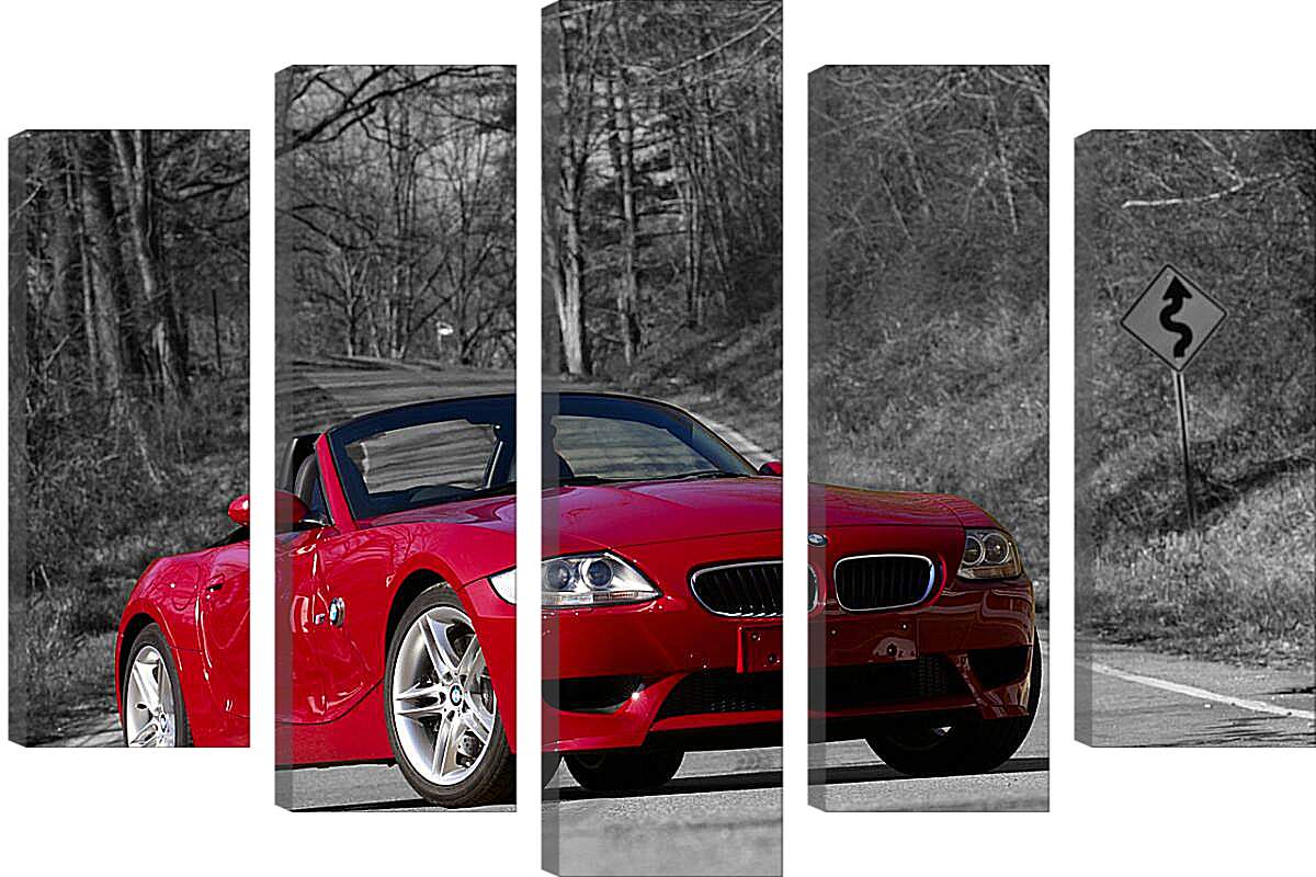 Модульная картина - Z4 BMW