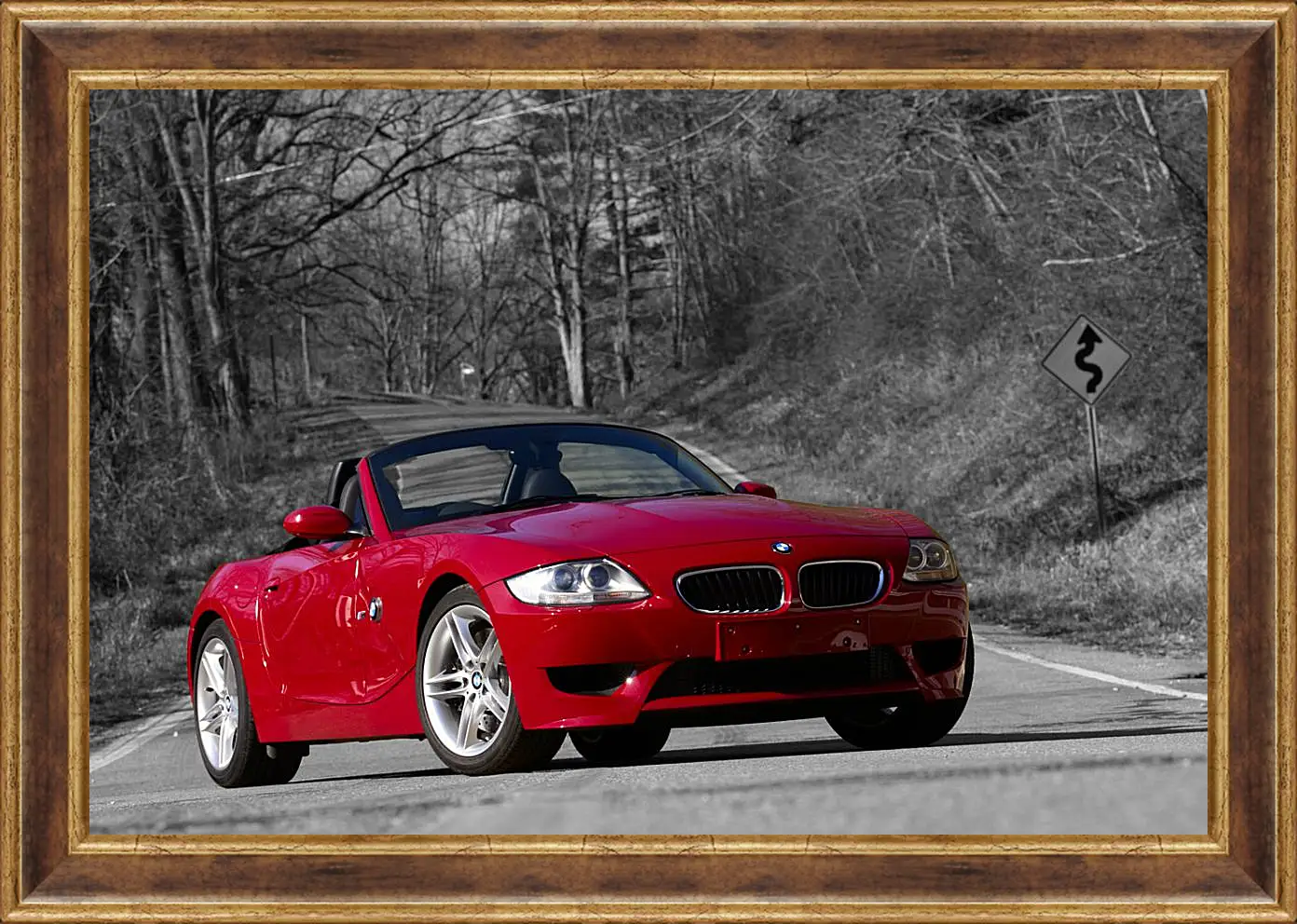 Картина в раме - Z4 BMW