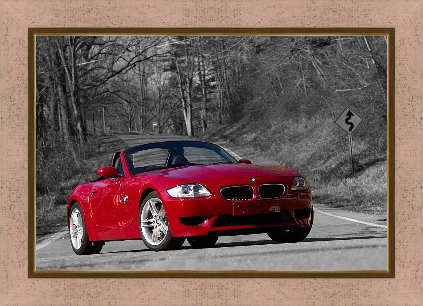 Картина в раме - Z4 BMW