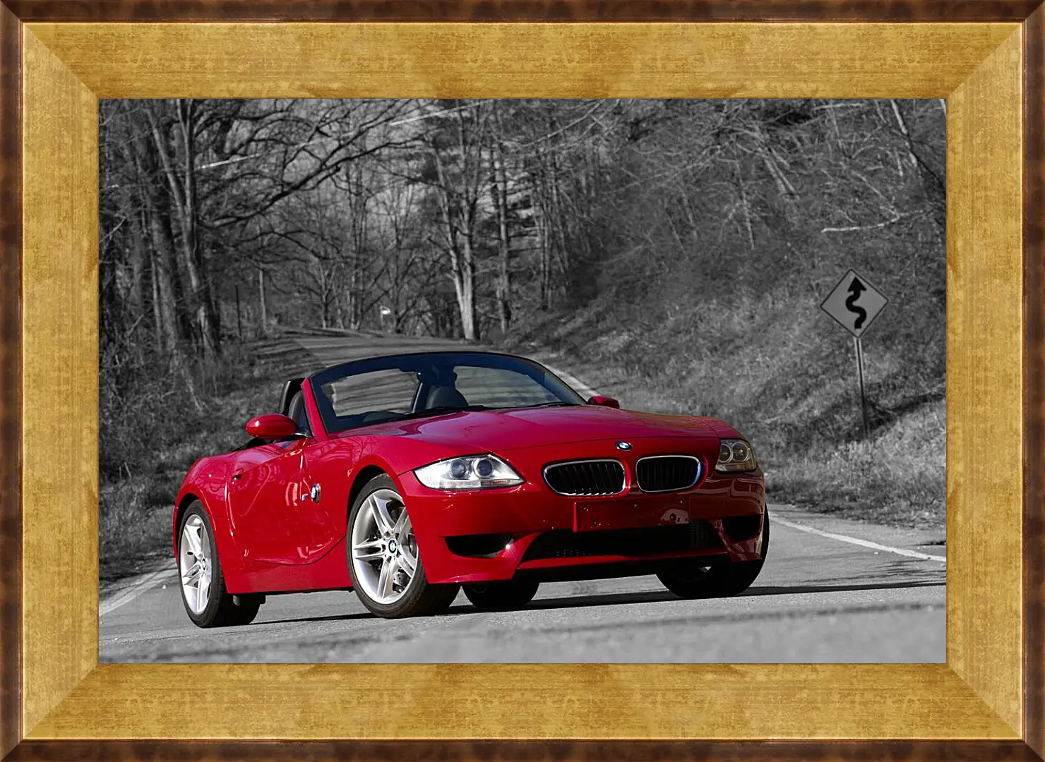 Картина в раме - Z4 BMW