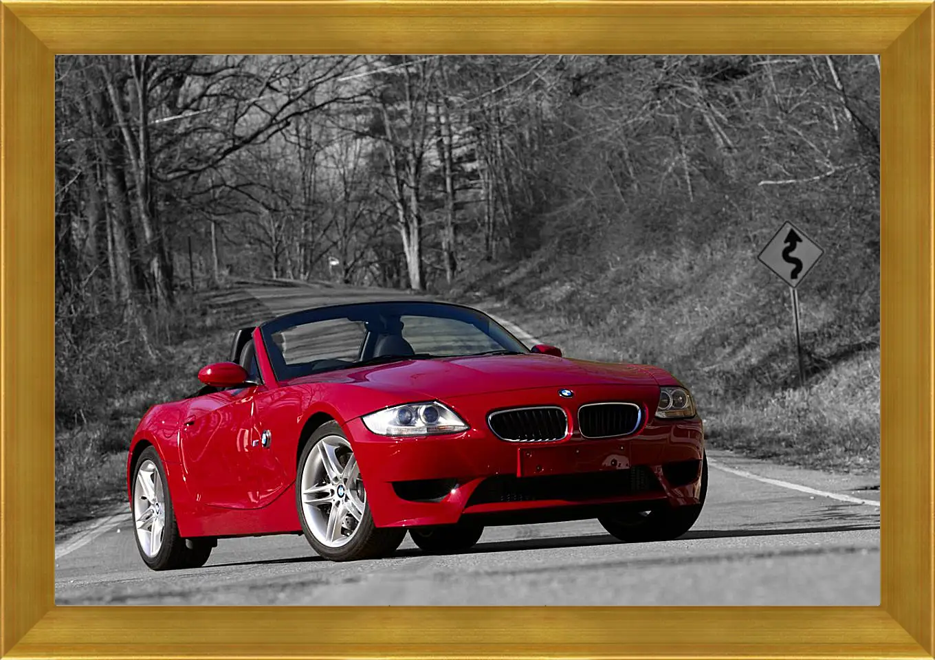 Картина в раме - Z4 BMW