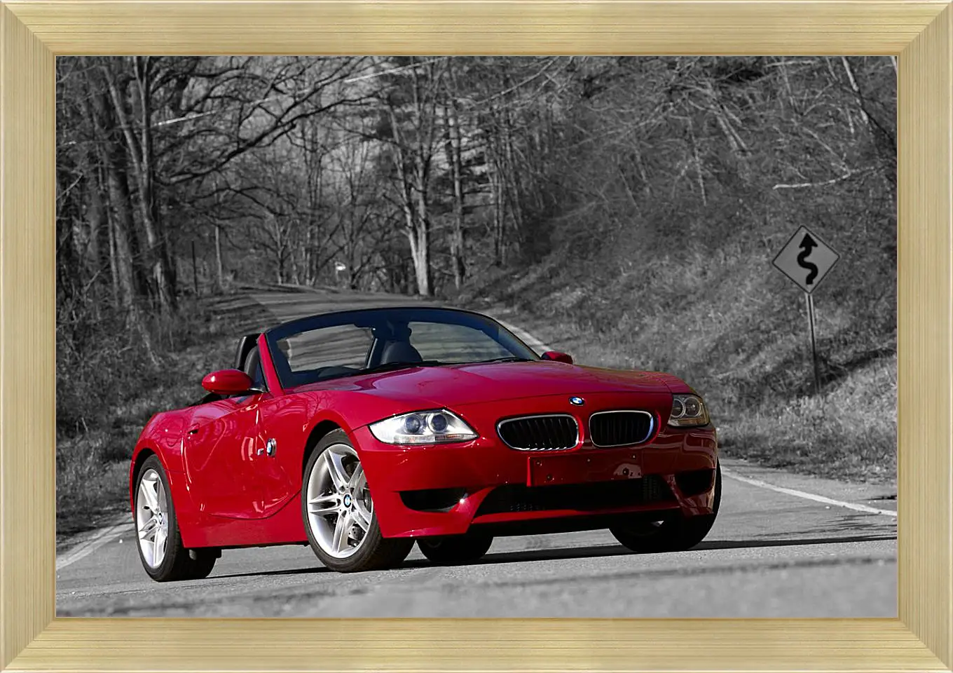 Картина в раме - Z4 BMW