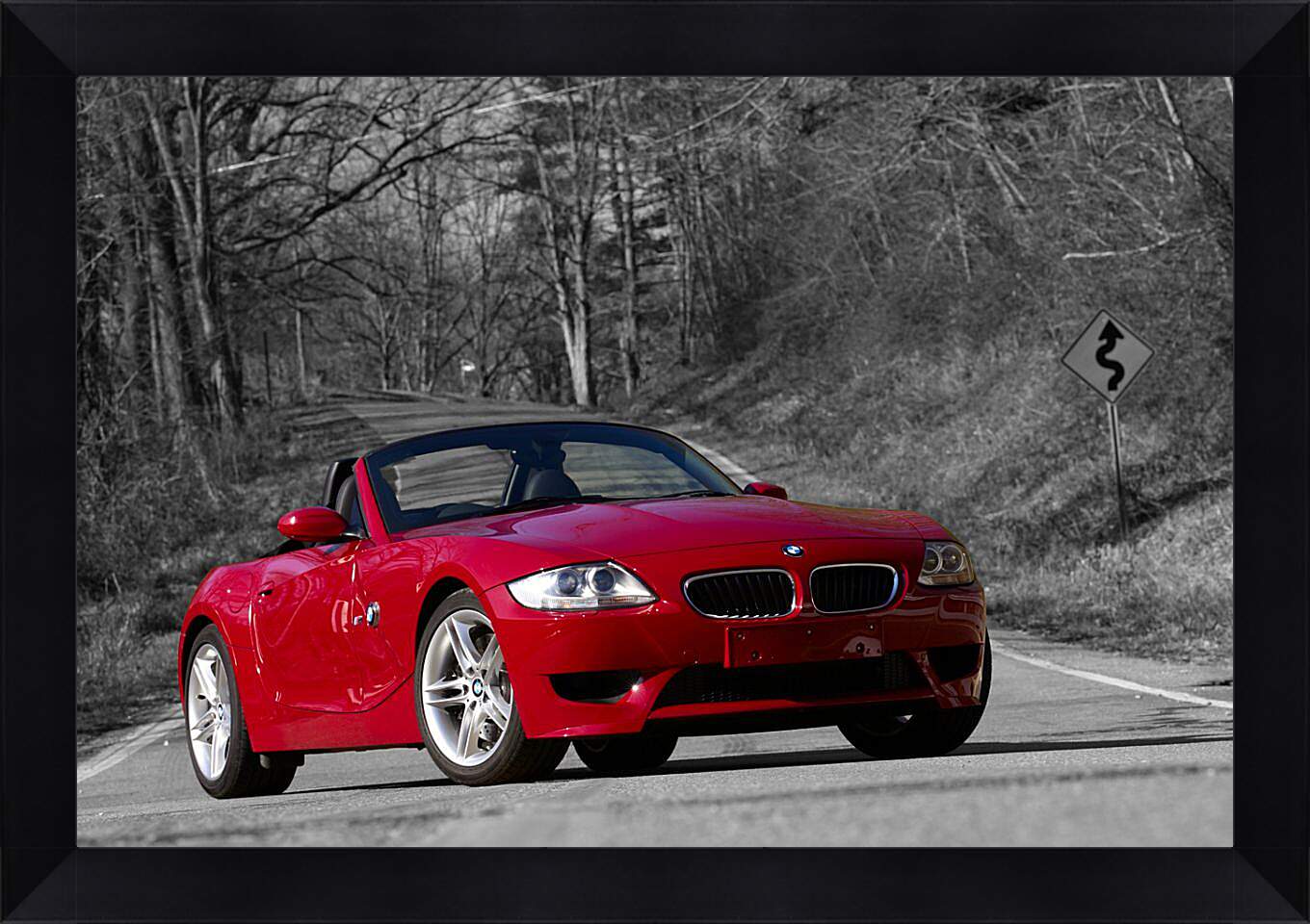Картина в раме - Z4 BMW