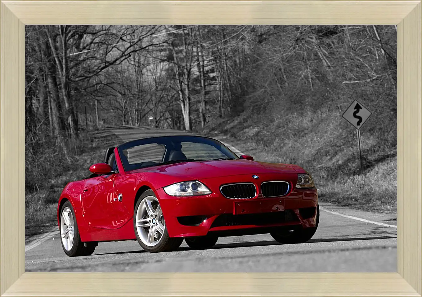 Картина в раме - Z4 BMW