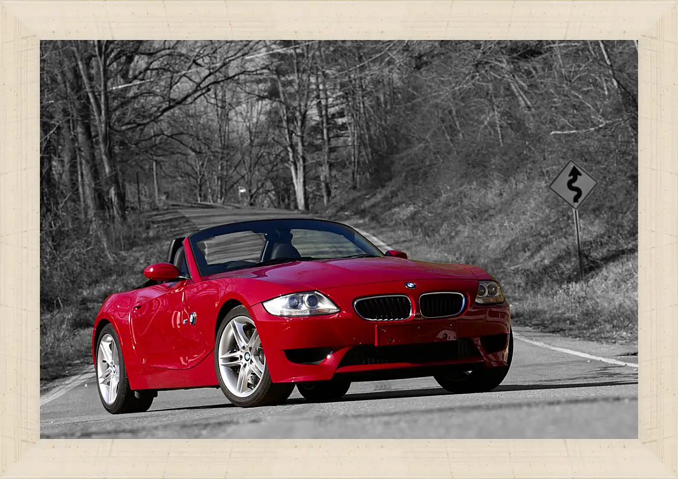 Картина в раме - Z4 BMW