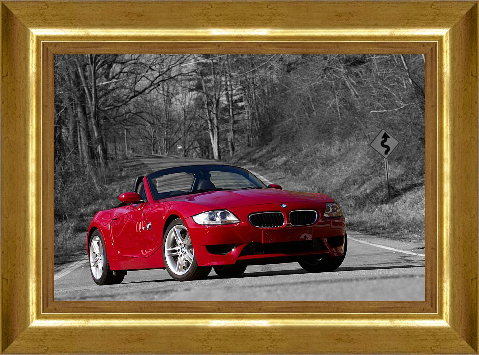 Картина в раме - Z4 BMW