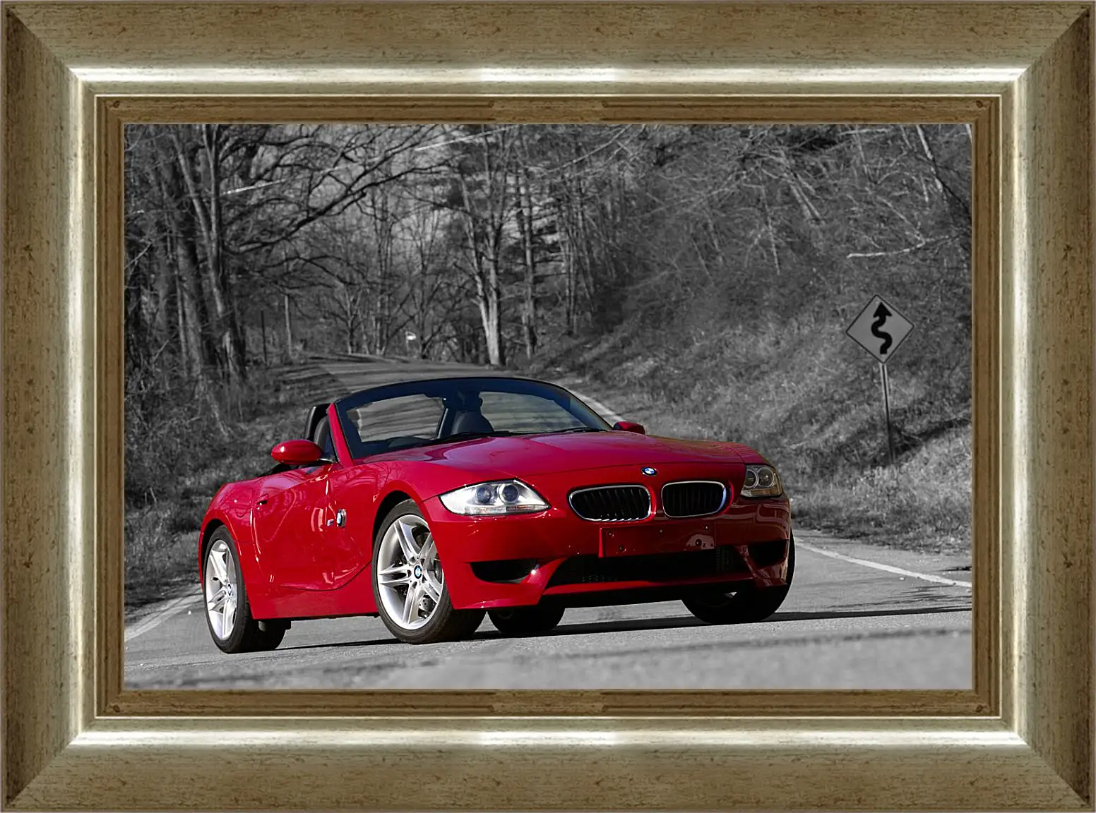 Картина в раме - Z4 BMW