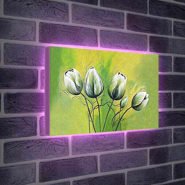 Лайтбокс световая панель - Тюльпаны АРТ