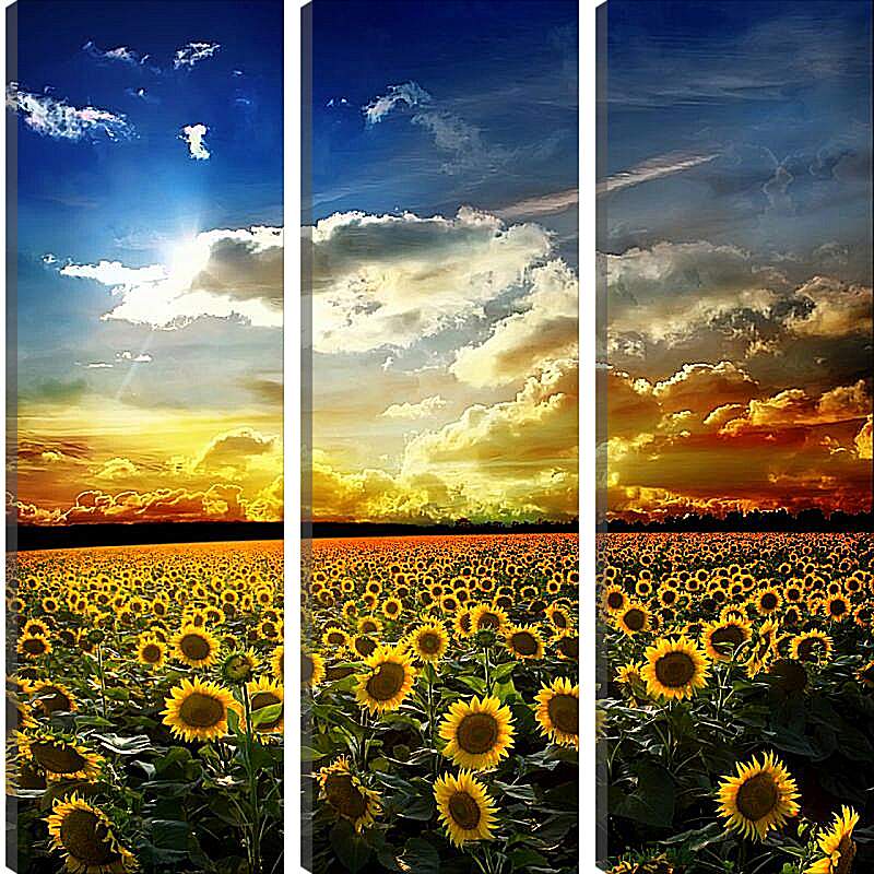 Модульная картина - Солнечное небо и поле подсолнухов