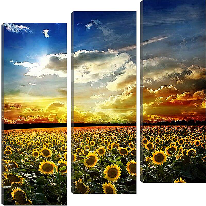 Модульная картина - Солнечное небо и поле подсолнухов