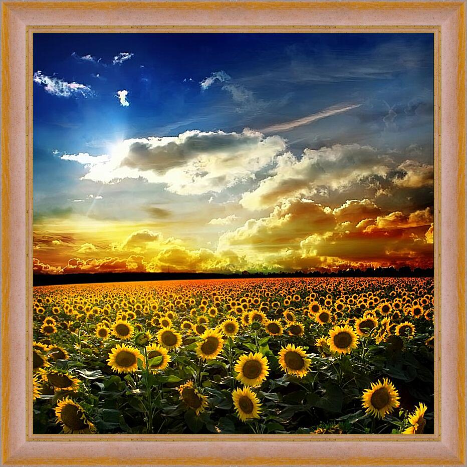 Картина в раме - Солнечное небо и поле подсолнухов