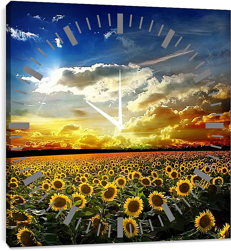 Часы картина - Солнечное небо и поле подсолнухов