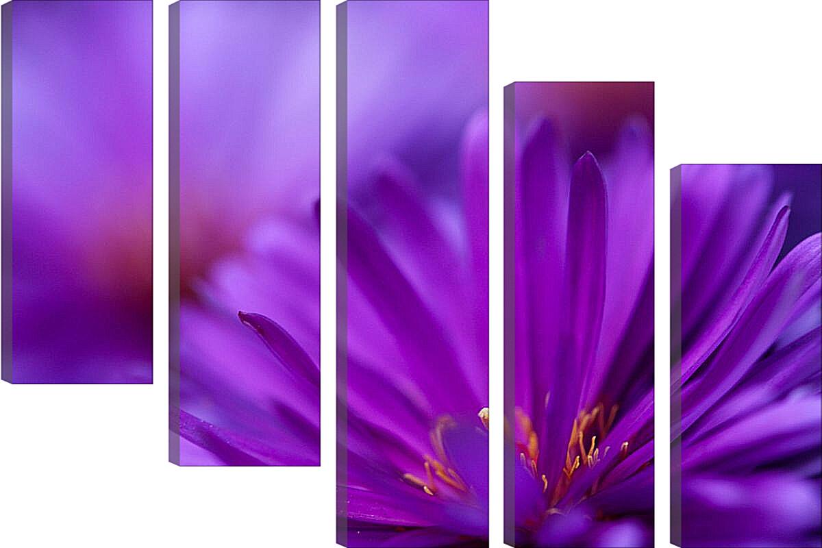 Модульная картина - Фиолетовый цветок