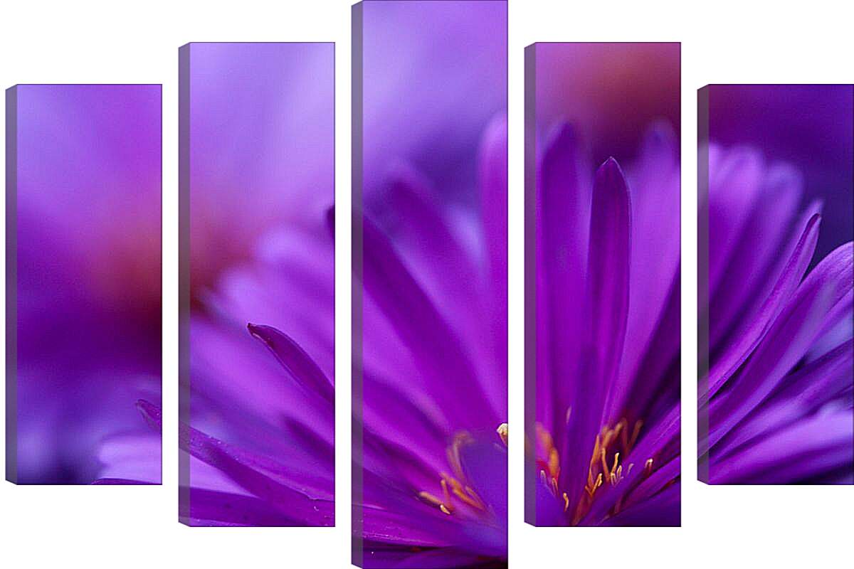 Модульная картина - Фиолетовый цветок
