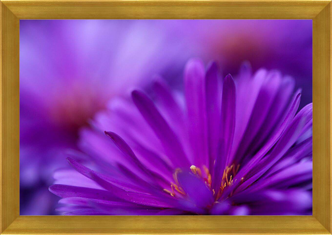 Картина в раме - Фиолетовый цветок