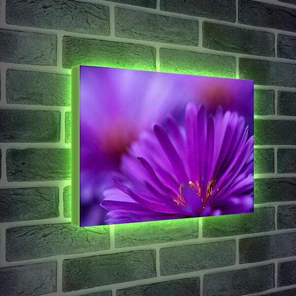 Лайтбокс световая панель - Фиолетовый цветок