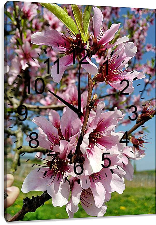 Часы картина - Весенний цвет