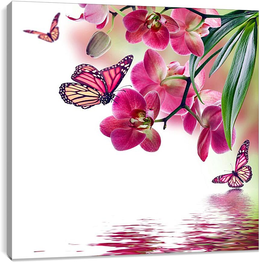 Постер и плакат - Розовые бабочки и орхидеи