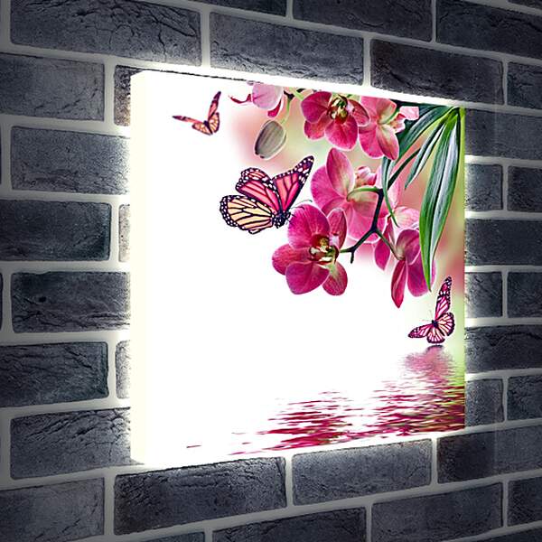 Лайтбокс световая панель - Розовые бабочки и орхидеи